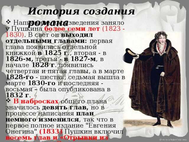 Сообщение автор в романе евгений онегин. в помощь школьнику