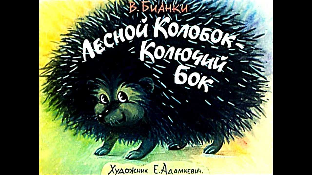 Скачать песню в.бианки - лесной колобок – колючий бок бесплатно и слушать онлайн | zvyki.com