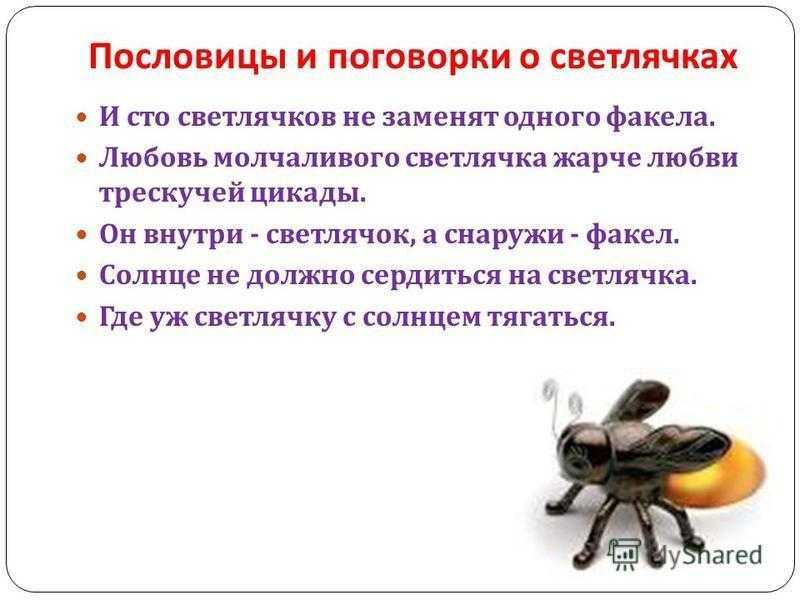 Осенняя муха больнее кусает значение пословицы