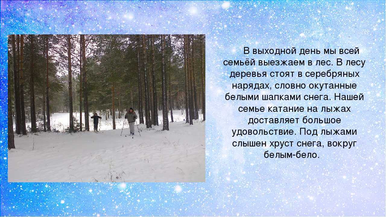 «зимний лес» – сочинения для 2-9 классов, описание зимы в лесу