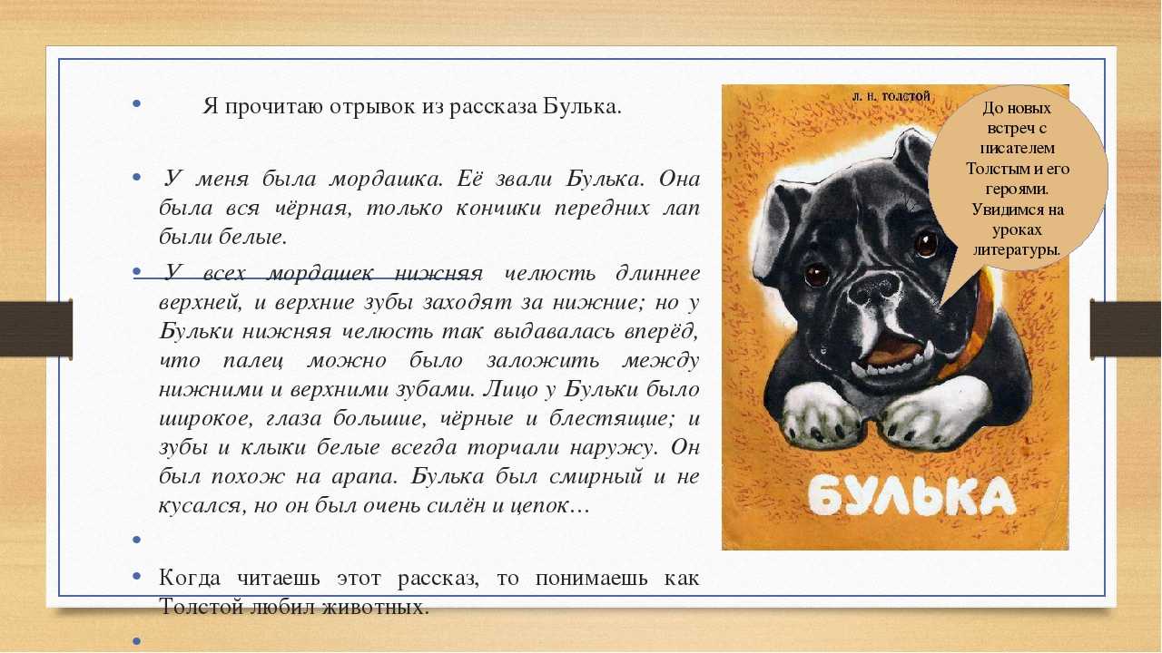 Лев толстой - булька (рассказы офицера) » книги читать онлайн бесплатно без регистрации