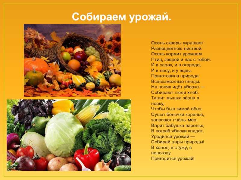 Загадки про овощи и фрукты