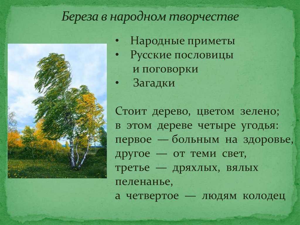 Пословицы и поговорки о деревьях » текст, видео, картинки