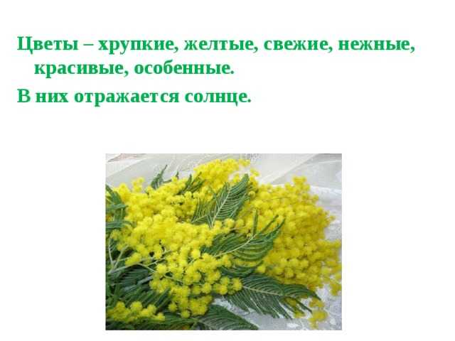 Биография владимира железникова – творчество и личная жизнь автора, читайте на литрес