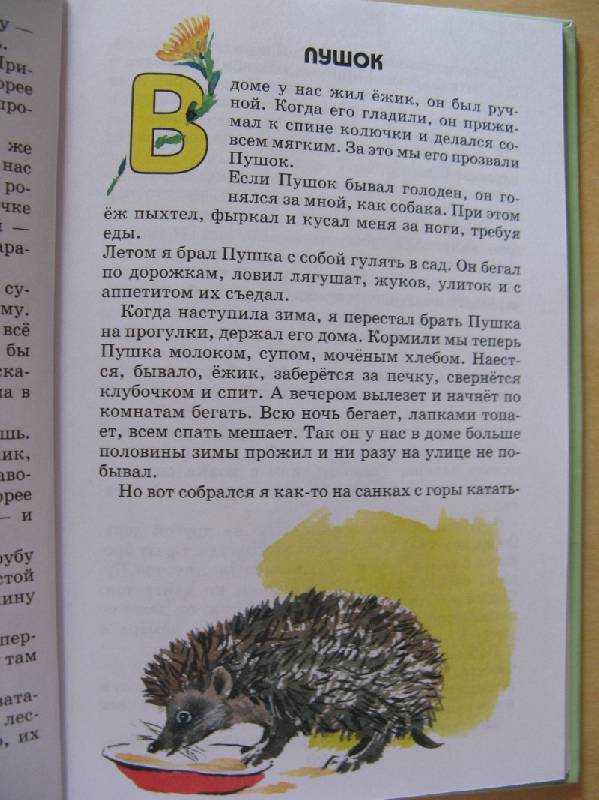 Скребицкий г. “кот иваныч” читательский дневник
