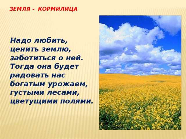 Пословицы о хлебе читать