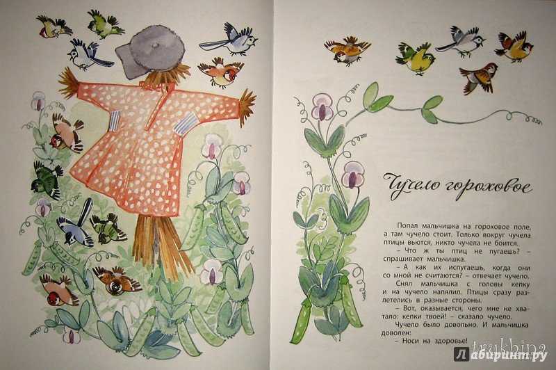 В расказе с.баруздина "улитка".часть букв отсутствует. постарайся быстро и правильно прочитать раска