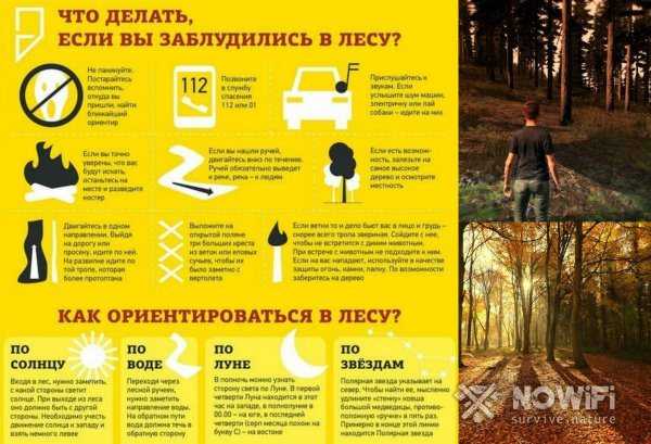 Мы любим гулять в лесу наслаждаться свежим воздухом касаемся веток деревьев сочинение
