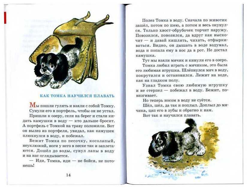 Читательский дневник «страшный рассказ» евгения чарушина
