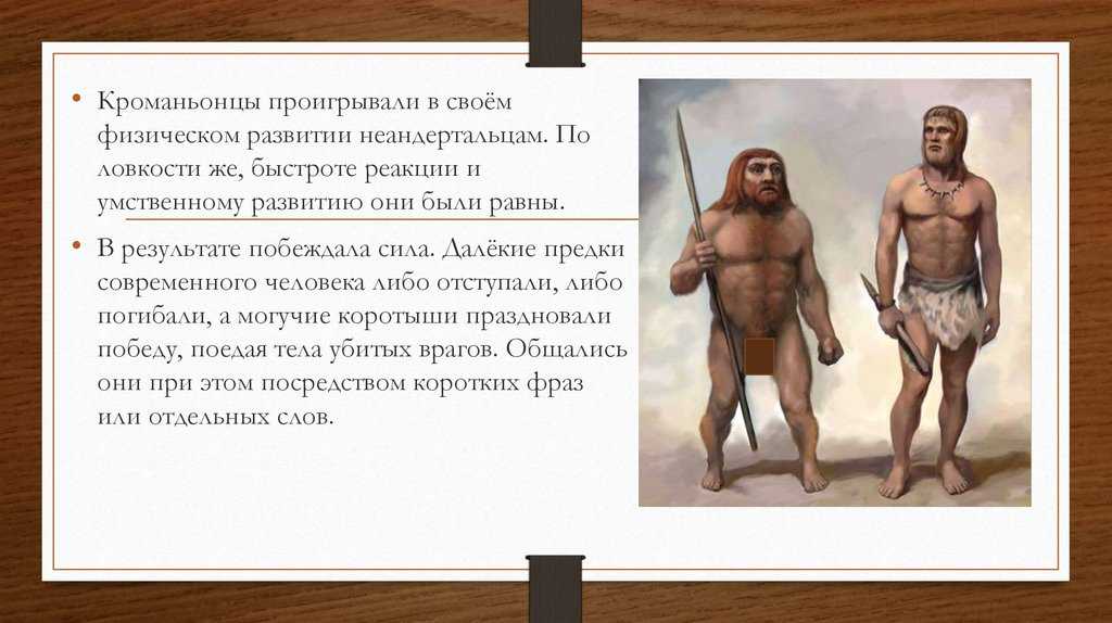 Как заботятся о своем потомстве домашние животные