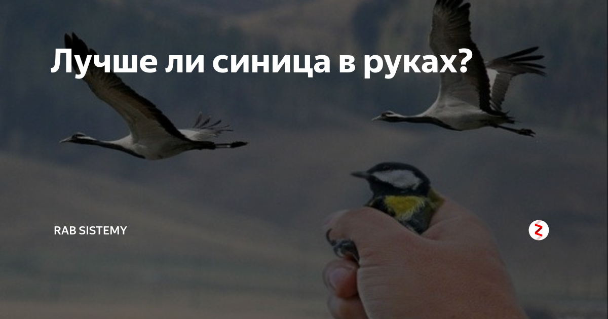 Смысл пословицы «лучше синица в руках, чем журавль в небе»