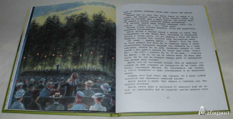 Корзина с еловыми шишками (к.г. паустовский)
