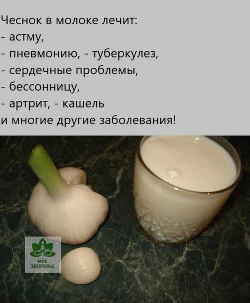 Составляем меню правильно: с какого возраста можно давать чеснок детям?