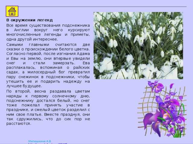 Сочинения про весну