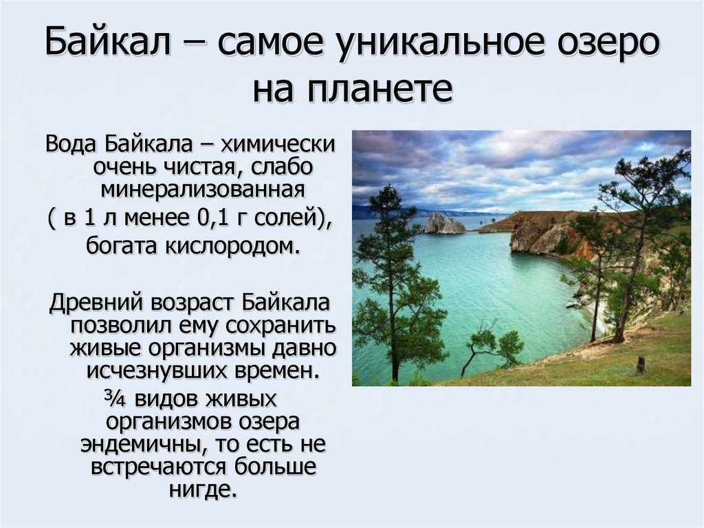Почему вода в океане солёная, интересные факты и теория