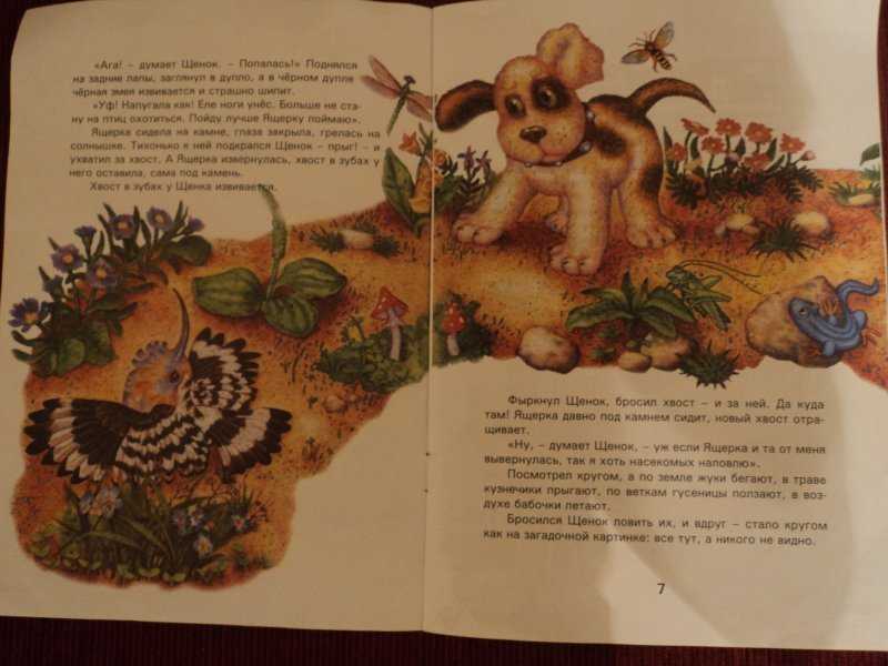 Виталий бианки ★ первая охота читать книгу онлайн бесплатно