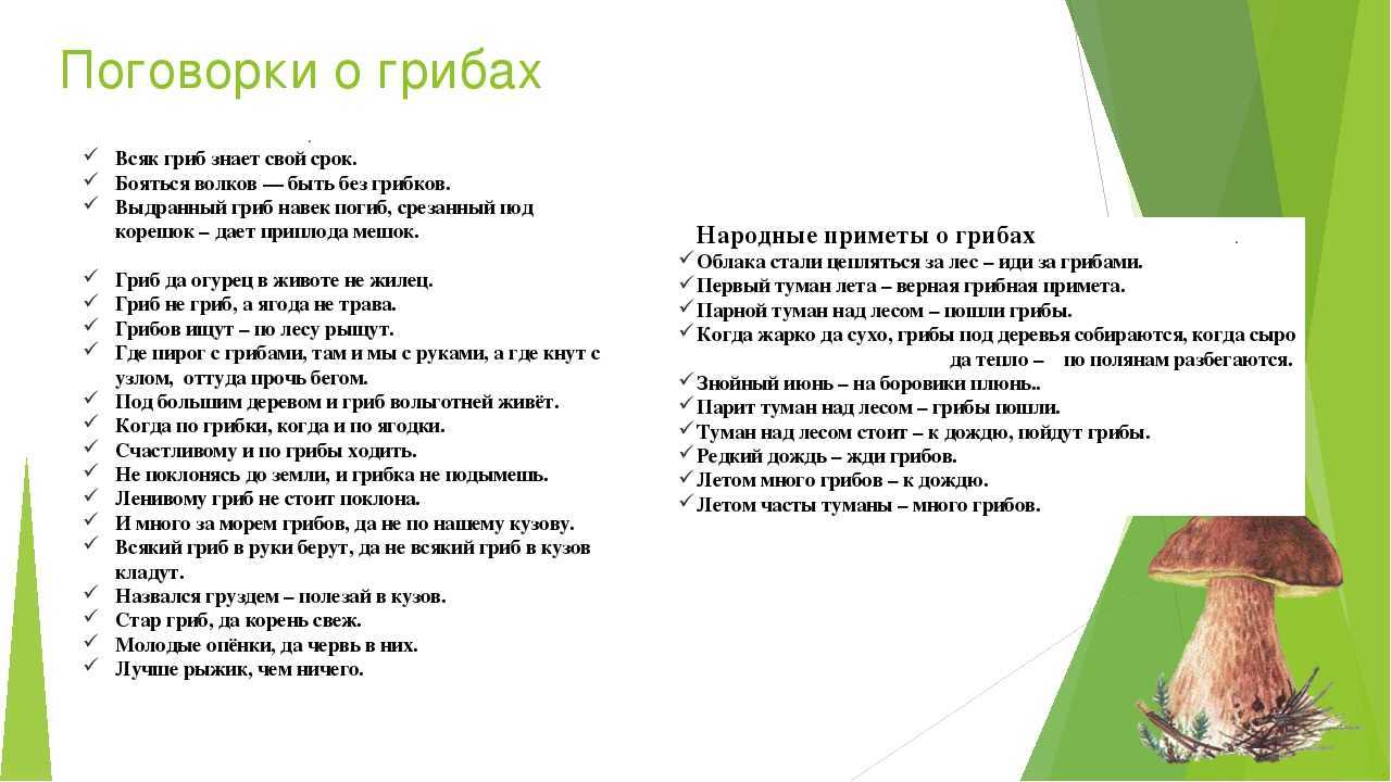 Сказка о грибах, пословицы, поговорки, загадки