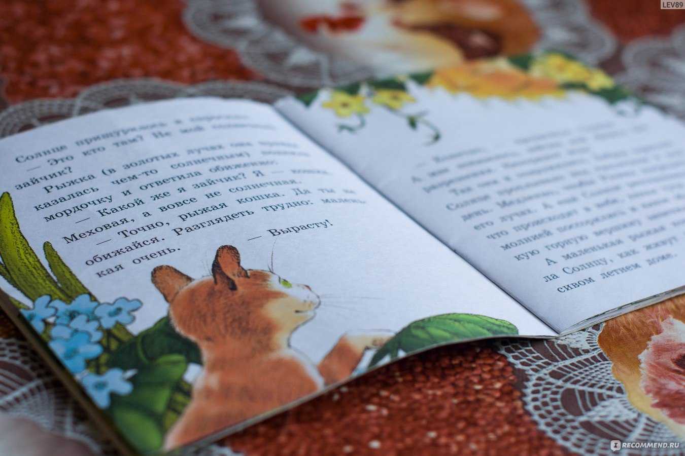 Совушка — умная головушка