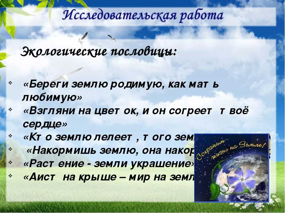 Пословицы и поговорки со словом муравей, слово муравей в поговорках и пословицах