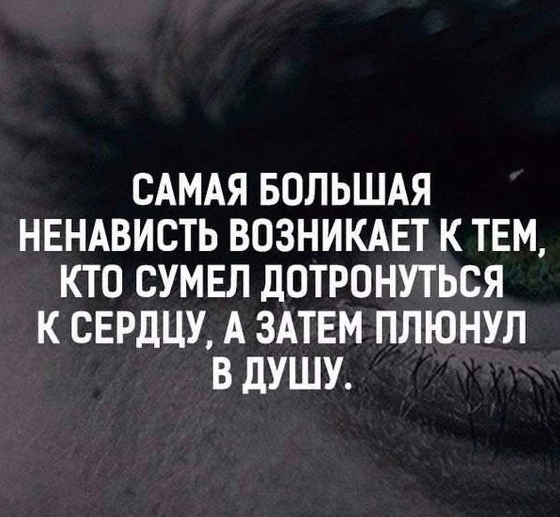Цитаты про ненависть — короткие высказывания о ненависти
