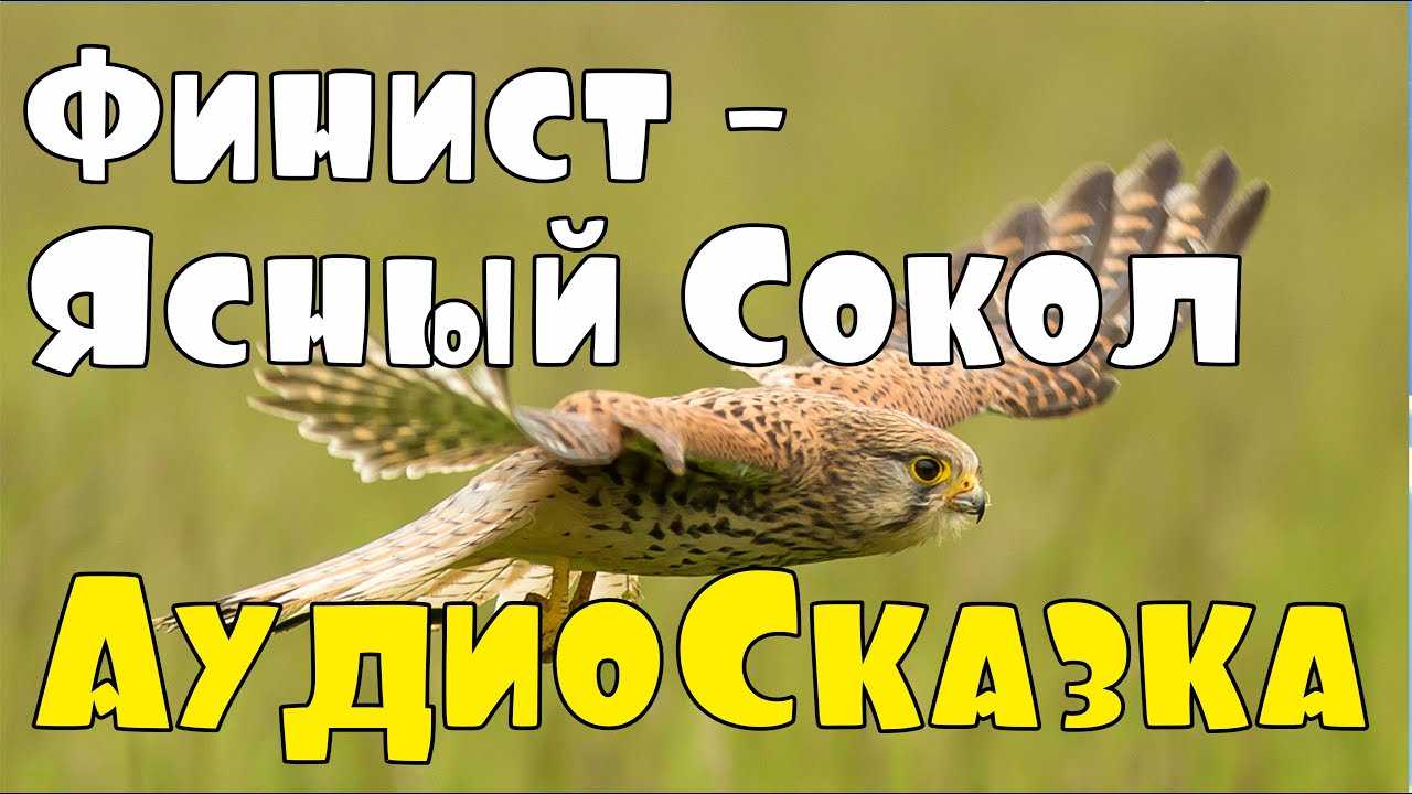 Михаил ножкин - родина ясноглазая - песня финиста ясного сокола (муз.владимир шаинский сл.михаил ножкин) №63467464 - прослушать музыку бесплатно, быстрый поиск музыки, онлайн радио, cкачать mp3 бесплатно, онлайн mp3 - dydka.net