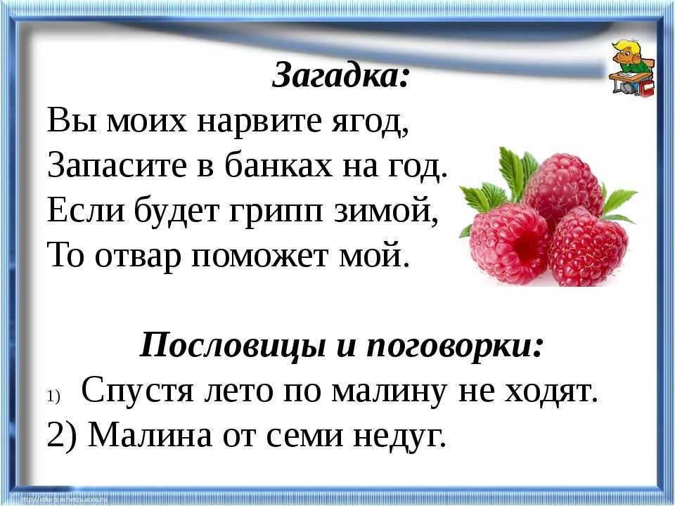 Про ягоду говорит а и цвету не видал... - смысл пословицы, значение, толкование | словцо.рф
