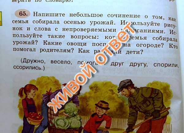 Писать собрать. Осенний урожай сочинение. Сочинение про урожай. Сочинение о том как семья собирала осенью урожай. Осенний урожай сочинение 3 класс.