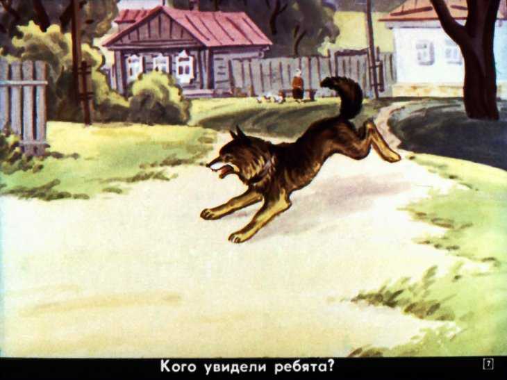 Валя была трусиха. она боялась мышей, лягушек, быков, пауков, гусениц. её так и звали - "трусиха". о