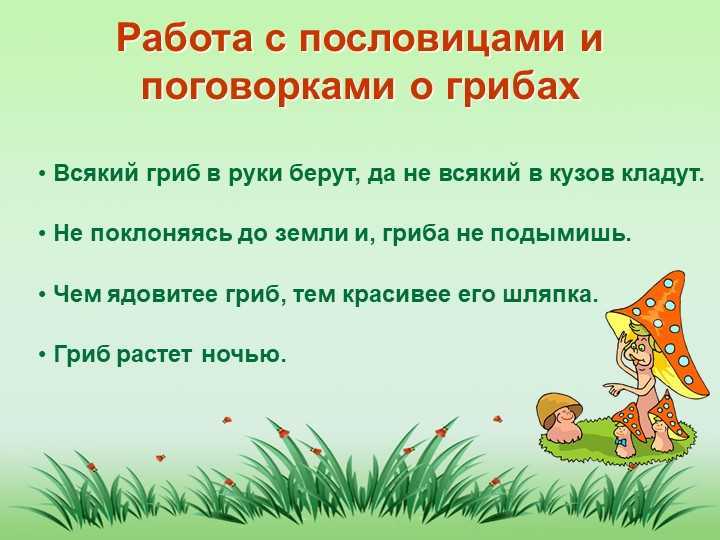 Пословицы и поговорки про грибы