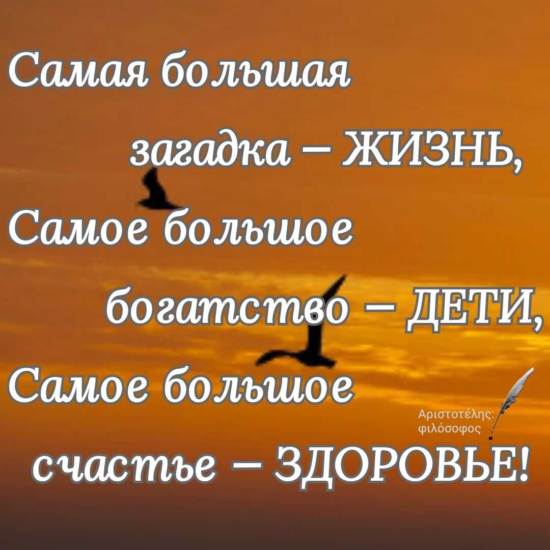 № 219 конспект занятия " береги своё здоровье" - воспитателю.ру - сайт для воспитателей детских садов