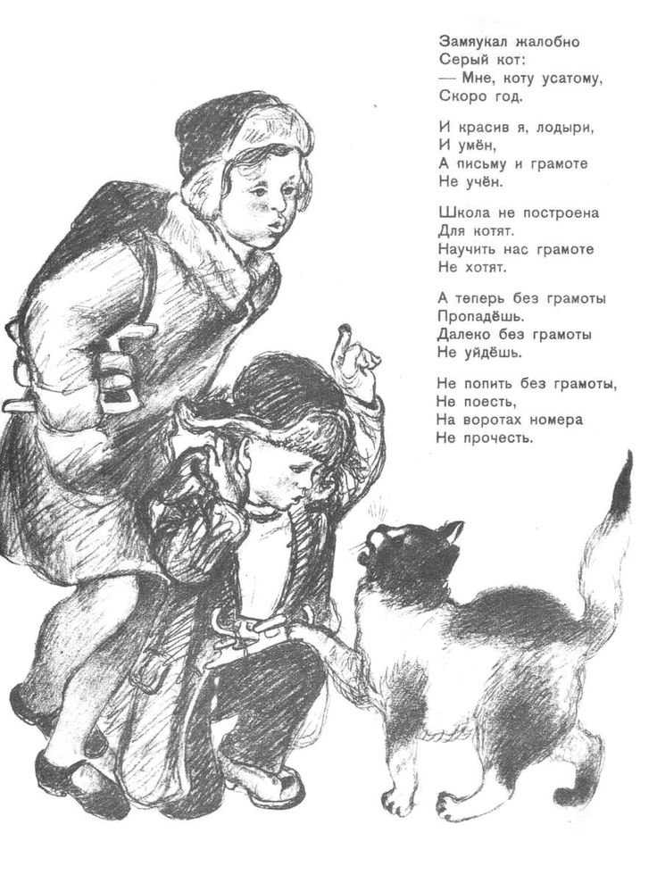 Стихи про котов и кошек для детей