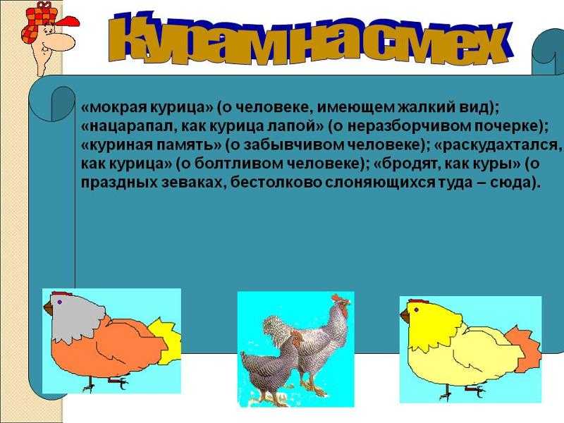 Про яйца поговорки - clubtravelms.ru