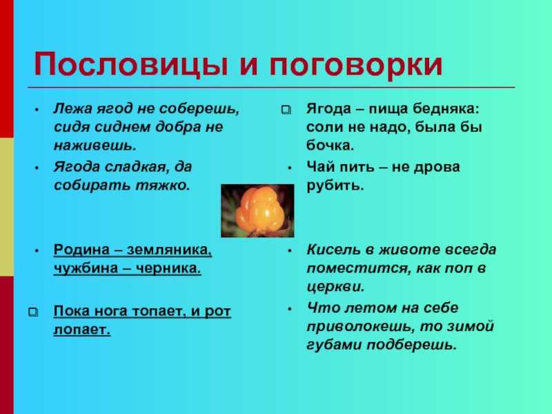 Загадки про ягоды (40 штук)