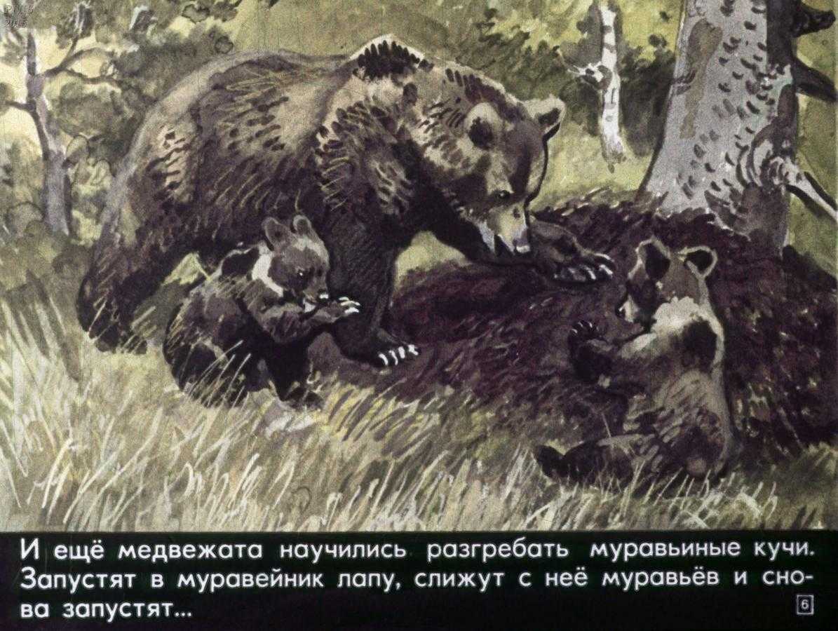 Фильмоскоп времен ссср: видеомагнитофон нашего детства
