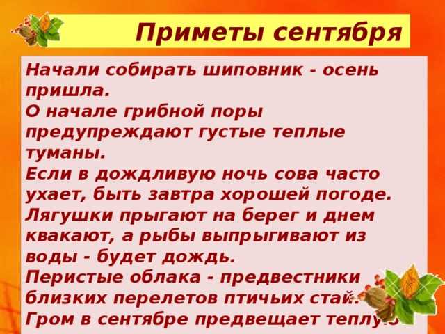 Приметы сентября, пословицы и поговорки сентября, стихи о сентябре