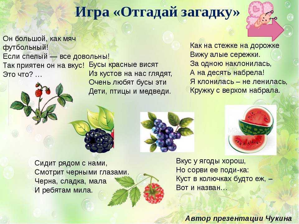 Написать предложения о том какие ягоды имеют целебные свойства