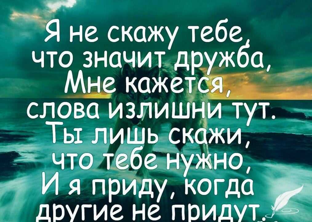 25 лучших цитат про зиму и любовь