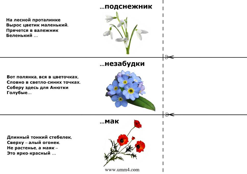 Блюда на букву ц: лучшие рецепты для настоящих гурманов