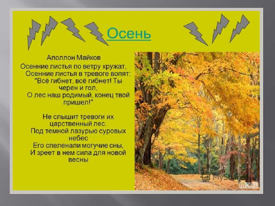 Майков «осень» читать 2 класс – 1st-finstep.ru