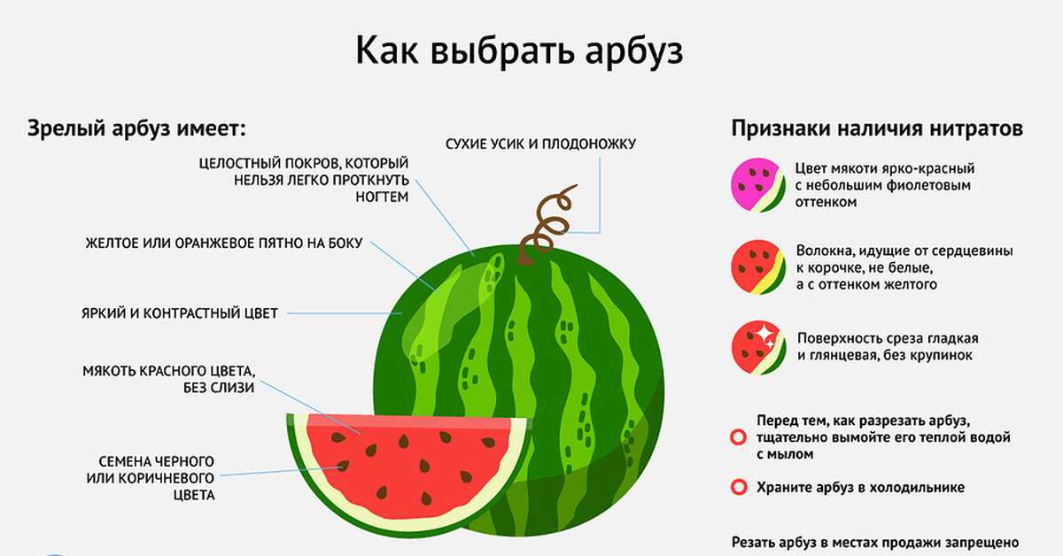 Проект на тему: «почему арбуз полосатый?» (для среднего дошкольного возраста)
