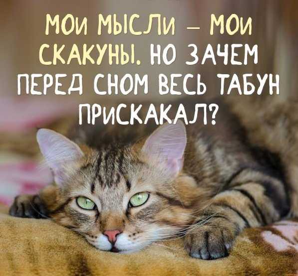 Проказы домового – что вам хочет сказать ваш домовой
