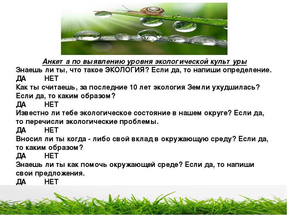 Викторина на тему «осень»(подготовительная группа)