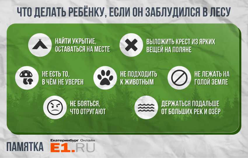 Конспект занятия по исследовательской деятельности с детьми старшего дошкольного возраста «почему у елки острые иголки». воспитателям детских садов, школьным учителям и педагогам - маам.ру