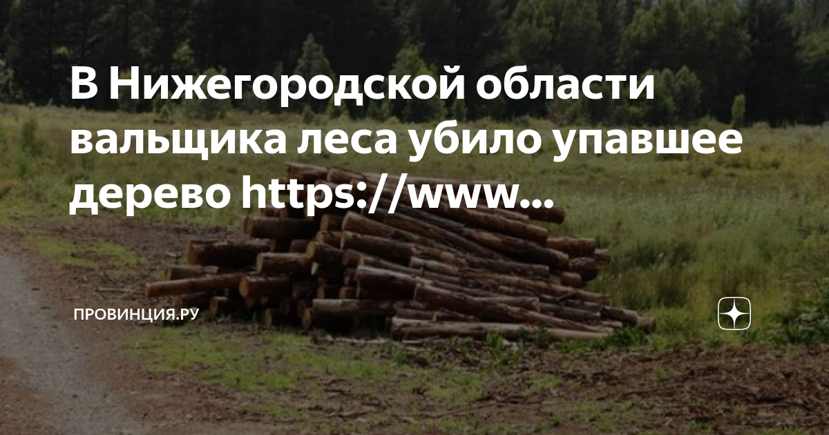 Слышали ли вы новость, видели ли вы дерево, которое до неба выросло Скорее всего, нет Может это случилось в заморской державе, за дальними морями, за дальними