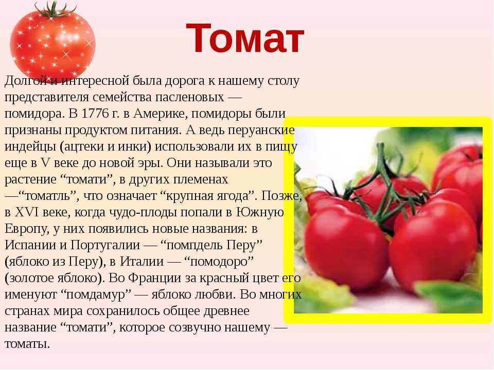 Джанни родари "приключения чиполлино": описание, герои, анализ произведения. один из любимых сказочных персонажей советской детворы
