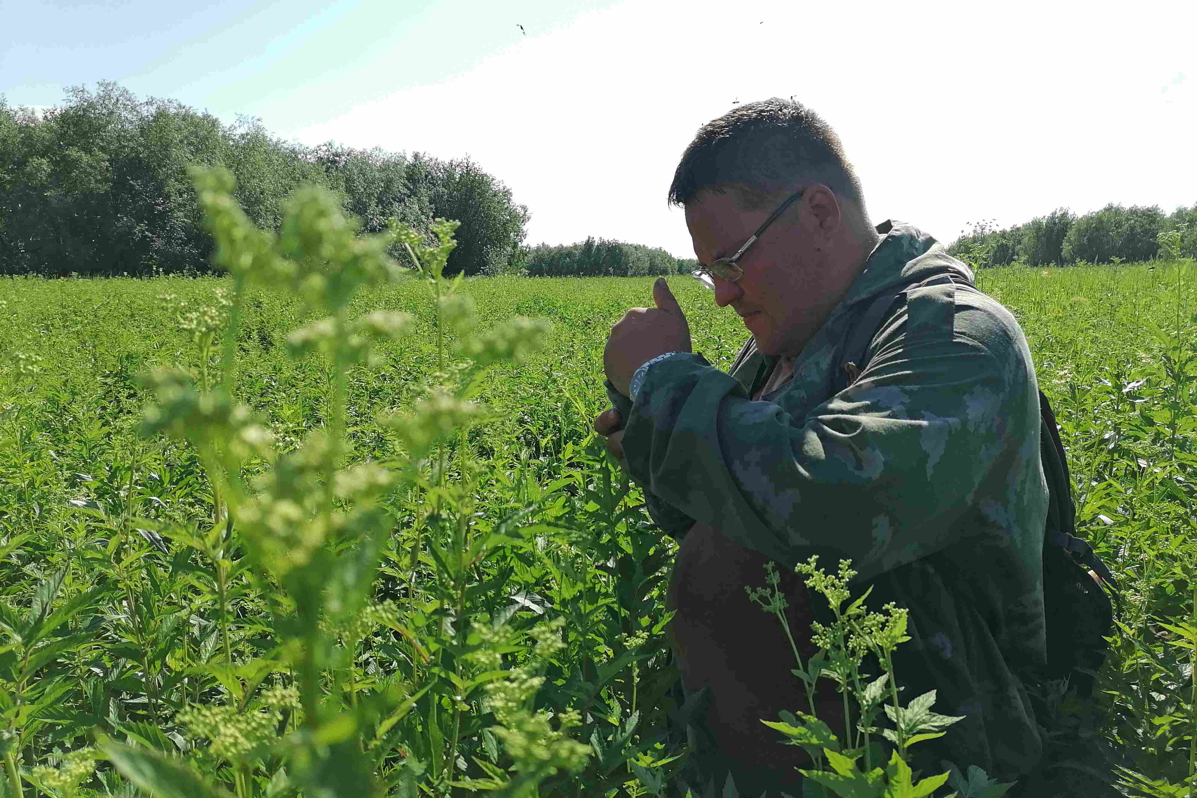 Понемногу: ответы на вопросы учебника к сказке в. жуковского "спящая царевна" для 5 класса