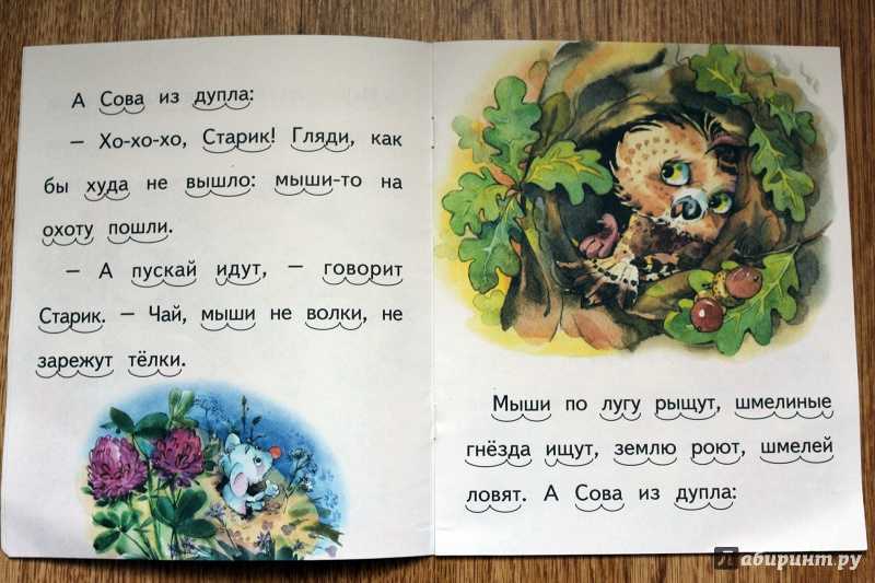 Сова — бианки в.в.