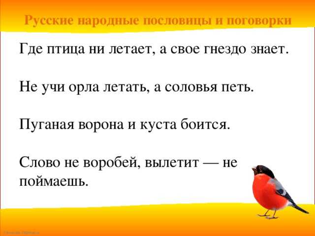 Рассказ о перелетных птицах для детей (как живут, описание)