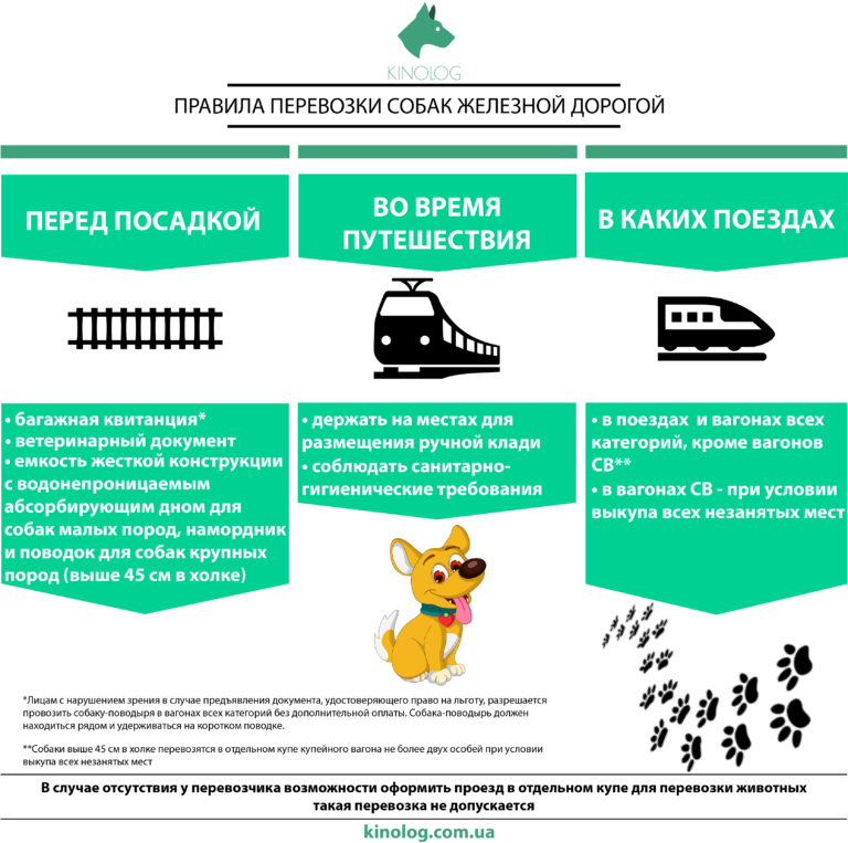 Тесты по носову. игра- по рассказам н