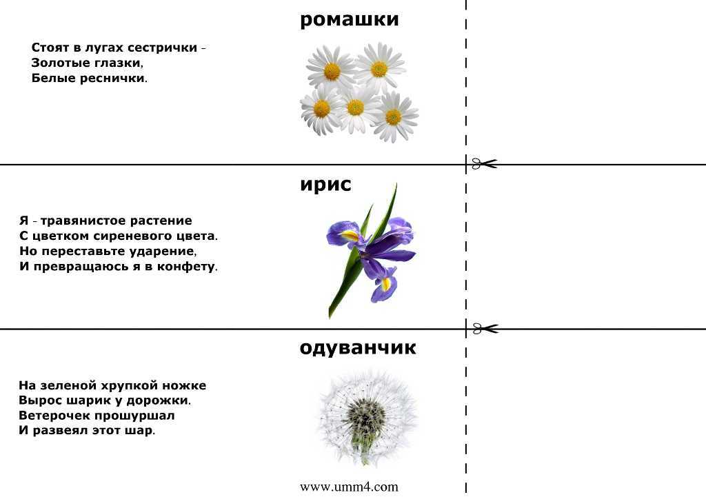 Загадки о природе с ответами, 1 класс